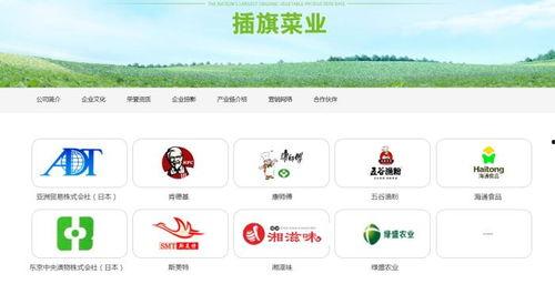 插旗菜业爆料视频最新,揭秘行业黑幕，品质革命再起波澜