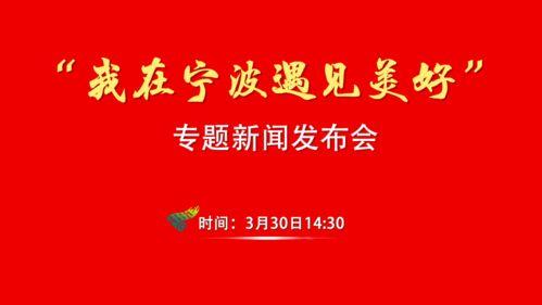 宁波电视台爆料新闻,重大事件背后真相揭晓