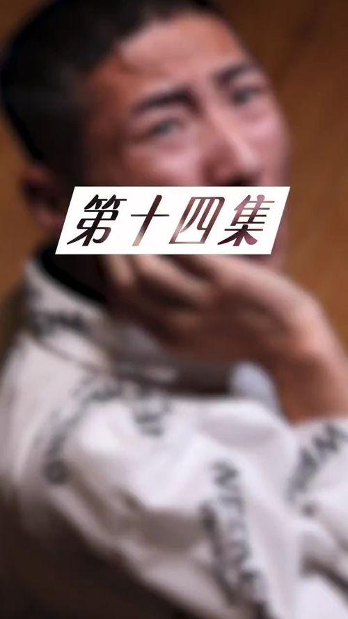 同盟在线观看14集