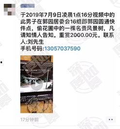 广州刘先生爆料视频,揭秘某事件背后惊人真相