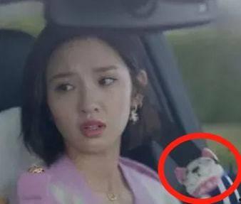 张若昀爆料出轨视频,真相与争议并存