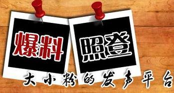 野三关新闻爆料,最新爆料揭示当地热点事件
