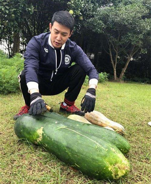 最新大瓜爆料翰林,揭秘娱乐圈幕后真相