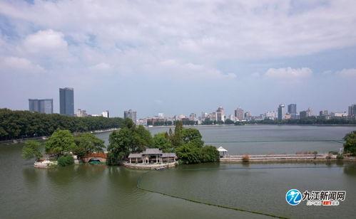 甘棠公园爆料最新消息,神秘事件引发热议，真相即将揭晓！