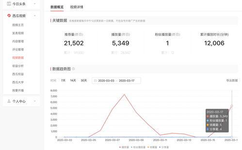 爆料视频收入怎么计算的,揭秘幕后盈利真相
