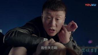 徐童四哥在线观看,在线观看，揭秘民间艺术大师的传奇人生