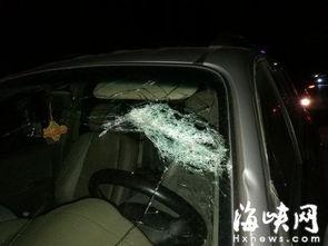 车窗抛物爆料视频播放大全,全民监督下的文明出行反思