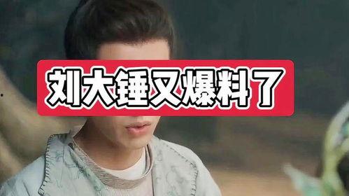 刘大锤爆料周一新闻视频,周一新闻视频背后的惊人内幕