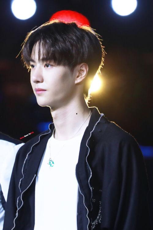 王一博最近行程爆料视频,多项目并行，火力全开！