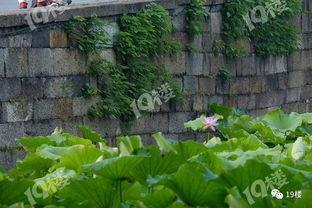 方家花园最新爆料,揭秘古建筑群的神秘面纱