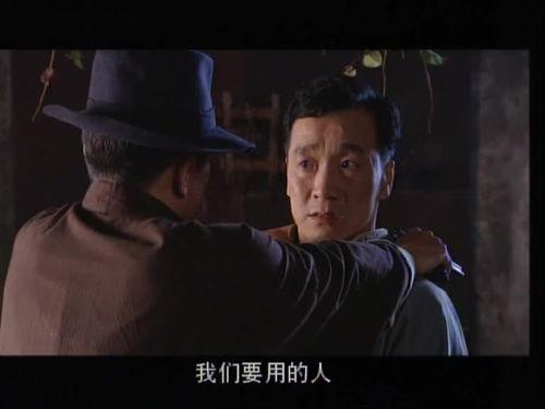 老九爆料茶叶视频大全,茶叶世界大揭秘